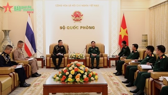 Vietnam desires stronger defence cooperation with Thailand